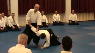 Hiroyuki Sakurai Sensei Aikido Seminar Beograd Serbia 2016 part 2