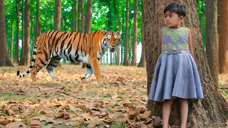 Royal Bangal Tiger Attack || tiger attack in the jungle fun mode movie -3
