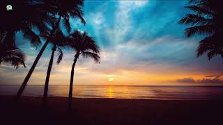 Sunset Beach Music with Palm Trees || Relaxing Tropical Vibes for Ultimate Chillout