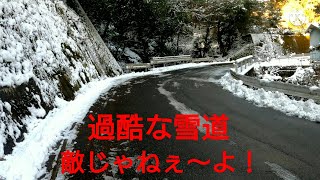 【ミニベロ】【パート6】折りたたみ自転車でお遍路の旅12番目【焼山寺】後半【4K】