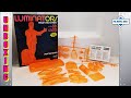 FRANKENSTEIN 1/8 Scale Monogram Luminators Styrene Kit Unboxing