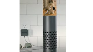 Amazon Echo - LOC ( League Of Cats )