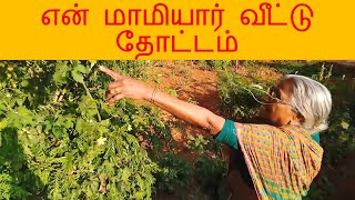 GARDEN TOUR in Coimbatore