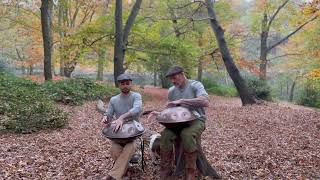 10 Minute Handpan Forest Meditation