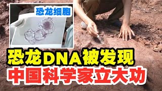 人类疑似发现恐龙DNA，中国科学家立大功，“复活”恐龙不是梦【太空记】