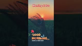 #telugu #morningwishes #good morning status #love #music good morning