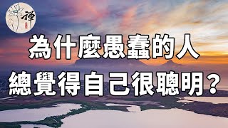 佛禪：為什麼愚蠢的人總覺得自己很聰明？達克效應：越無知的人，往往越自信