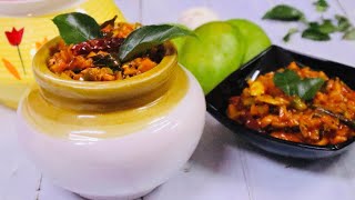 Mango pickle -Ayn’s world by Rahina Hakkim