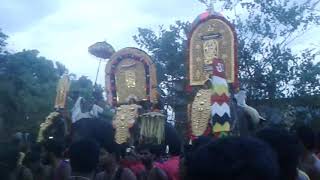 Alanjeri pooram paloor