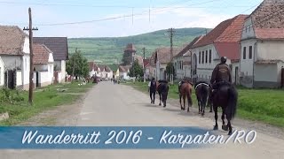 Wanderritt 2016 - Karpaten