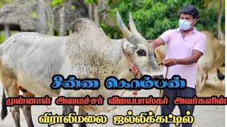 புதுக்கோட்டை மாவட்டம் விராலிமலை ஜல்லிக்கட்டில் முன்னாள் அமைச்சர் விஜயபாஸ்கர் அவர்களின் கொம்பன் 💥💥🔥