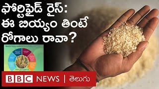 Fortified Rice : హైదరాబాద్‌లో తయారైన ఈ కొత్త రకం వరి అన్నం తింటే ఆరోగ్యం మెరుగవుతుందా? | BBC Telugu