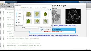 Vegetable Leaf Classification Using Deep Learning | Vegetable Leaf Classification Using Matlab Code