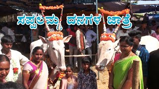 Sappalamma cattle fair 2020