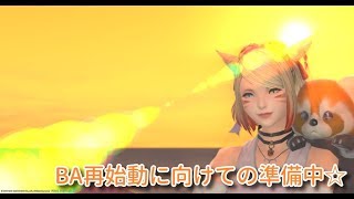 【PNG】ナースでもFF14やるのです☆～BAいきます☆～