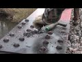 mag drill removing rivets on a railroad bridge rehab project