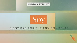 Is Soy Bad For The Environment? | FoodUnfolded AudioArticle