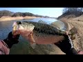 배스 낚시 겨울 댐은 한방이 있다💠런커 @ 안동호 bass fishing pesca バス釣り