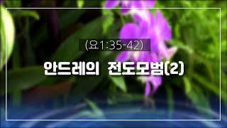 주서일목사. 안드레의 전도모범 2 (요한복음 1:35-42)