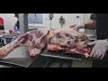 Ribs (What's the Difference) Pork Ribs vs Beef Ribs Cut and Cook  The Bearded Butcher