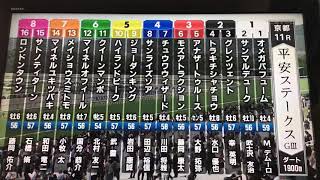 令和元年5月18日(土)  京都11R  平安ステークス 「チュウワウィザード」