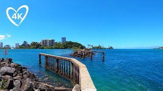 4K Walk Tweed Coast - Surf Beaches, Lookout, Sea-Wall - Virtual Walk Gold Coast - Treadmill