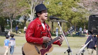 Daisachi ／ アコ趣味ライブ2018.3.25 茅ヶ崎里山公園