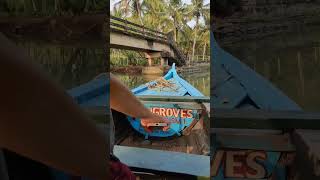 Kozhikode Sea Backwater Boating - Kerala