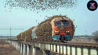 Unbelievable Train Moments Caught on Camera! | Best Compilation