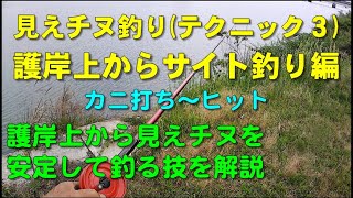 見えチヌ釣り（テクニック３）護岸上からサイトフィッシングで釣る。護岸上から見えチヌを安定して釣る技を解説【前打ち／ヘチ釣り／落とし込み／河川／クロダイ／黒鯛／カニ／釣り方／テクニック】