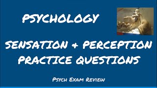 Psychology Review Questions - Sensation & Perception