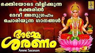 അമ്മേ ശരണം | Devi Devotional Songs Malayalam | Hindu Devotional Songs | Amme Saranam