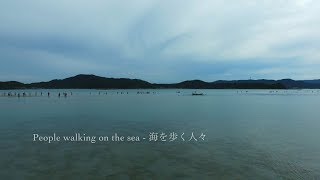 海を歩く人々 - 奄美大島 喜瀬のかくれ浜（ドローン空撮4K）