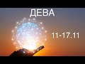 ДЕВА таро прогноз на неделю 11-17 ноября 2024