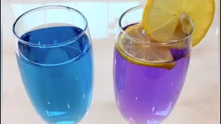 蝶豆花茶 兰花茶 Butterfly Pea Flower Tea