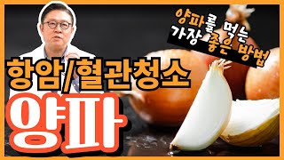 항암과 혈관청소를 해주는 양파, 양파를 먹는 가장 좋은 방법!!