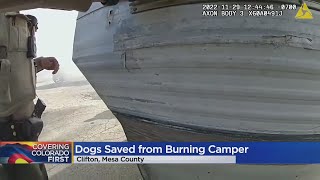 Mesa County Sheriff's deputies save dogs from burning camper