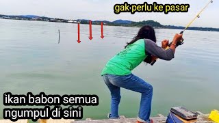 fishing‼️beruntung mancing ikan air gerak pasang ikan besar ngumpul || gak perlu beli ikan pasar