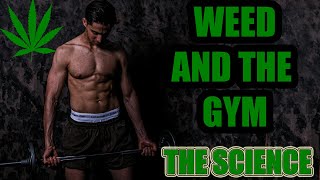 WEED AND THE GYM |  Will It Improve Your Workout?