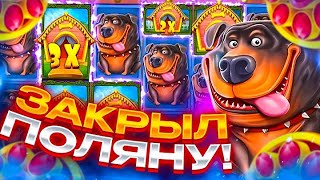 ЗАКРЫЛ ОГРОМНУЮ ПОЛЯНУ СИНИХ СОБАК В THE DOG HOUSE MEGAWAYS!!! ПОКУПАЮ ДОРОГУЩИЕ БОНУСКИ!!!