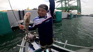 Singapore Boat Fishing Tuas - Barracuda on slowfall jig !!