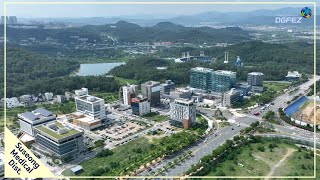 DGFEZ Suseong Medical District