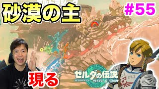 【ゼルダの伝説】砂漠の主現る！お宝装備も発見だ！#55【ティアーズ  オブ ザ キングダム】