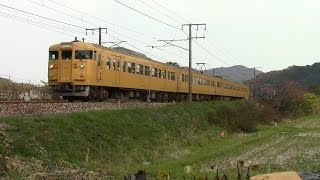 【山陽本線】JR西日本　地域色115系電車　セキN-12編成