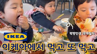 소띠윤 | 부산 기장 이케아에서 먹고 또 먹는 먹방 브이로그(4K)