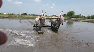 நிலம் மட்டம் செய்தல்