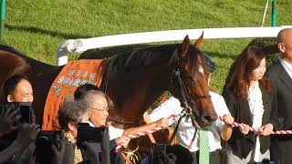 京都大賞典2018/勝利したサトノダイヤモンドの口取り式の様子（2018.10.08)