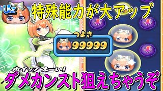 (99999カンスト狙えるぞ)四葉(バレンタイン)特殊能力が大アップ 妖怪ウォッチぷにぷに Youkai Watch