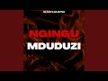 Ngingu Mduduzi