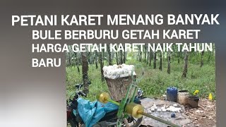 harga getah karet terkini